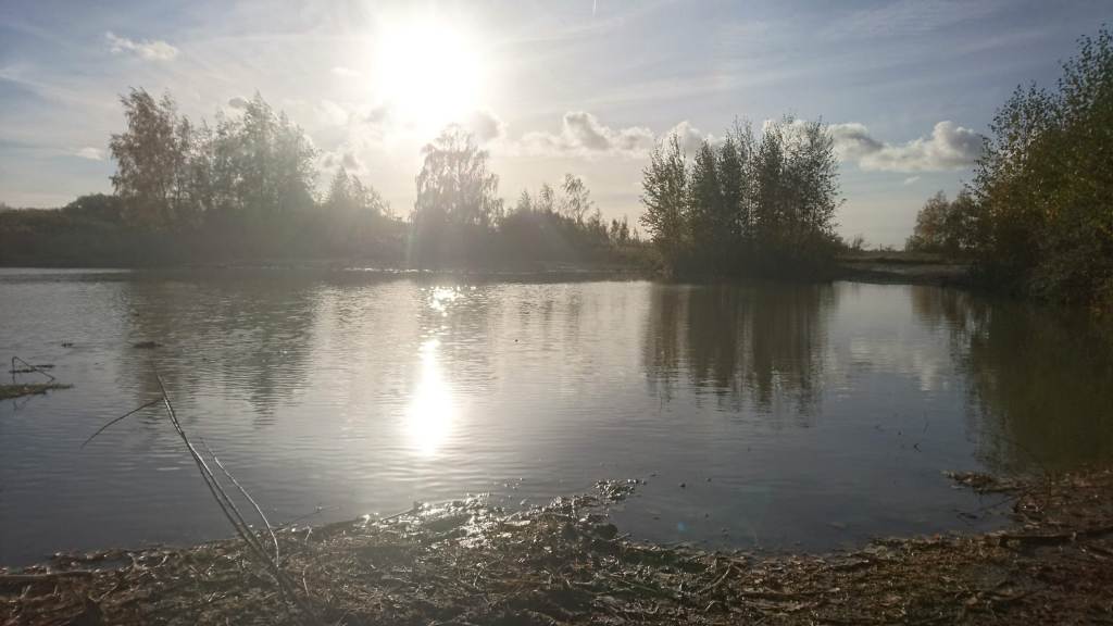 Kalvebod Faelld pond